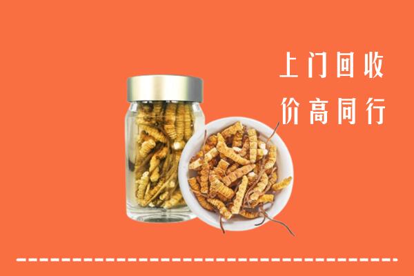 收购行情：平湖市回收冬虫夏草